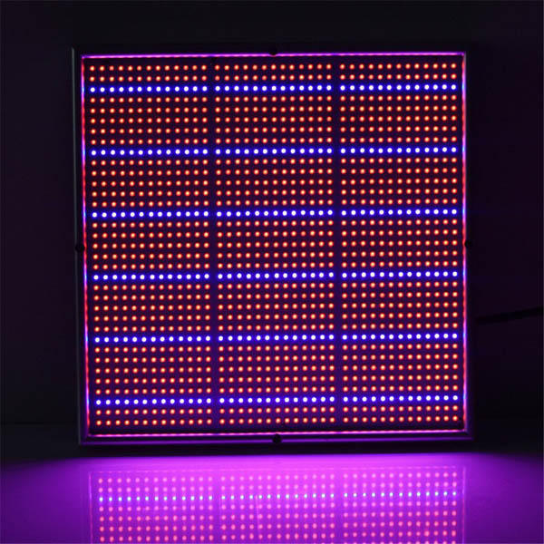 100W 1131Red 234Blue LED Grow Light Plant Growing Lamp Garden Greenhouse Plant Seedling Light - EU Plug