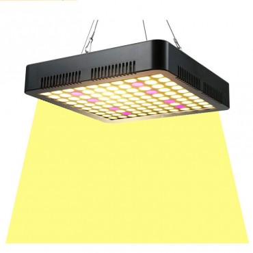  1000W Full Spectrum...