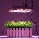 100 LED Grow Light Full Spectrum Panel For Indoor Hydro Veg Flower Plant Lamp - US Plug