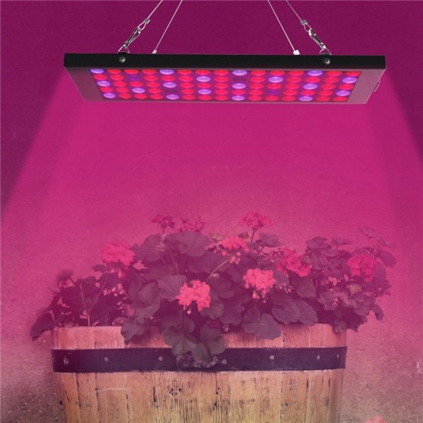 10W 75 LED Aluminum Grow Light for Plant Vegetable Indoor Hydroponic AC85-265V - EU Plug