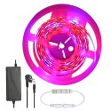 5M SMD5050 Waterproof Full Spectrum LED Plant Grow Strip Light for Greenhouse  DC12V - EU Plug