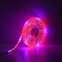 5M SMD5050 Waterproof Full Spectrum LED Plant Grow Strip Light for Greenhouse  DC12V - EU Plug