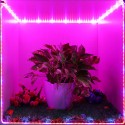 5M SMD5050 Waterproof Full Spectrum LED Plant Grow Strip Light for Greenhouse  DC12V - EU Plug