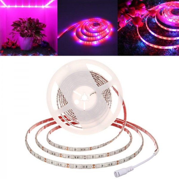 5M SMD5050 Waterproof Full Spectrum LED Plant Grow Strip Light for Greenhouse  DC12V - EU Plug