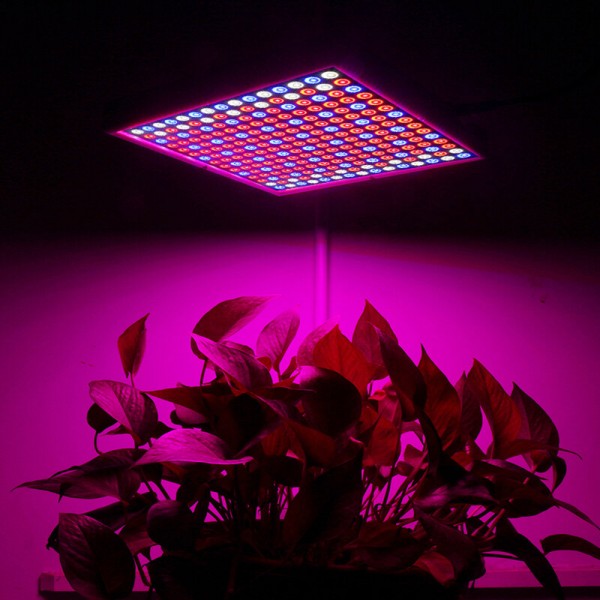 1200W LED Spectrum Grow Light Growing Lamp for Hydroponic Indoor Plant