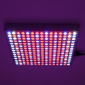 1200W LED Spectrum Grow Light Growing Lamp for Hydroponic Indoor Plant