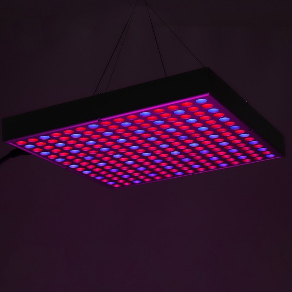 1200W LED Grow Light Waterproof Plant Lamp Chip Phyto Growth Lamp Full Spectrum Plant Lighting for Indoor Plant - US Plug