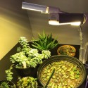 45/50/60W LED Grow Light Lamp Full Spectrum Hydroponic Flower Bloom LED Fitolampy Grow Lights For Hydroponic plant - 88 LED