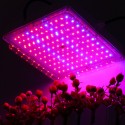 100W LED Greenhouse Garden Hydroponic Plant Grow Light Full Spectrum Growing Plant Grow Light Panel - EU Plug