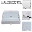 100W LED Greenhouse Garden Hydroponic Plant Grow Light Full Spectrum Growing Plant Grow Light Panel - EU Plug