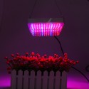 100W LED Greenhouse Garden Hydroponic Plant Grow Light Full Spectrum Growing Plant Grow Light Panel - EU Plug
