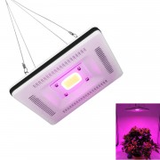 50W COB LED Square F...