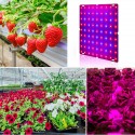 Ultra Thin 81/169LEDs Plant UV Grow Light Full Spectrum Veg Lamp For Indoor Hydroponic Plant Flower 110-240V - EU Plug 81LED