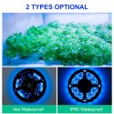0.5/2/3M IP65 Waterproof LED Grow Light Strip Plant Growing Lamp Touch Control Ice Blue Light - 0.5M No