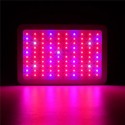 100W Full Spectrum 100 LED Grow Light Lamp for Plants Hydroponic Indoor Flower  - AU Plug