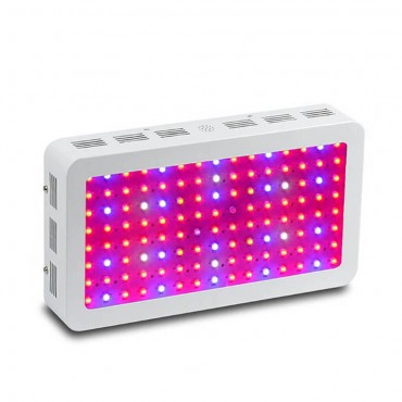  Double Chips LED Gr...