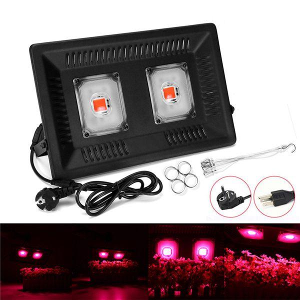100W Waterproof Full Spectrum LED Grow Light Double Head Hangable COB Plant Lamp 110/220V            - US Plug