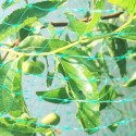 Gardening Anti Bird Net Protect Tree Net Fruit Crop Plants Pond Netting Mesh 2m x 10m