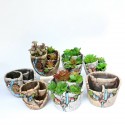 10 Styles Succulent  Desktop Flower Pot Plants Planter Garden Plants Holder Home Window Decoration - #6