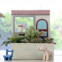 Green Plant  Flower Pot Sedum Succulent Planter Bonsai Trough Box Bookstore Decorations
