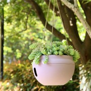 Plastic Hanging Plan...