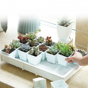 PP Plant Tray Succul...
