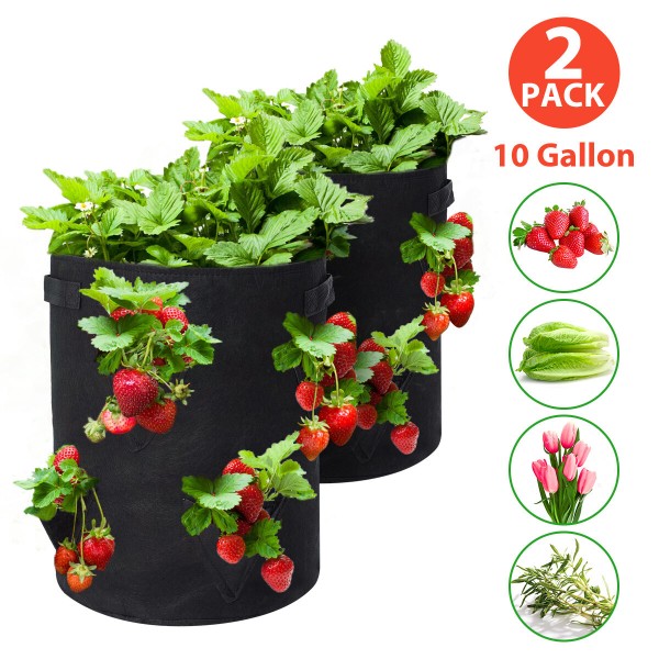  Strawberry Planting Bags 2 Pack 10 Gallon Planting Pouch Fabric Pots Premium Breathable Cloth Bags