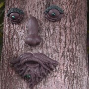 Outdoor Tree Old Man...