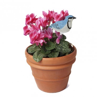 Plant Pal Soil Moist...
