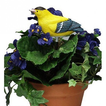 Plant Pal Soil Moist...