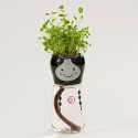 DIY Mini Doll Tail Water Absorption Potted Plant Desktop Office Decor - 04