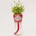 DIY Mini Doll Tail Water Absorption Potted Plant Desktop Office Decor - 04