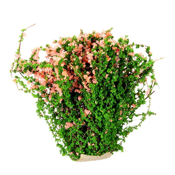 DIY Sand Table Decoration Materials Shrub Thicket Spend Gardening -  Pink
