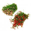 DIY Sand Table Decoration Materials Shrub Thicket Spend Gardening -  Pink