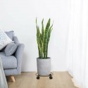 Removable Flower Pot Tray Universal Wheels Round Tray Heavy Duty Flower Pot Rack Plant Caddy Rolling Potted Plant Stand - Black 