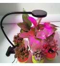 Clip Plant Fill Light LED Grow Light Fleshy Planting Double Head Timing With Clips Like Sun - 2