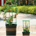 3pcs 12pcs Plant Support Plant Stakes, Half Round Plant Support Ring Plastic Plant Cage Holder Flower Pot Climbing Trellis For Small Plant Flower Vegetable, Indoor Plants