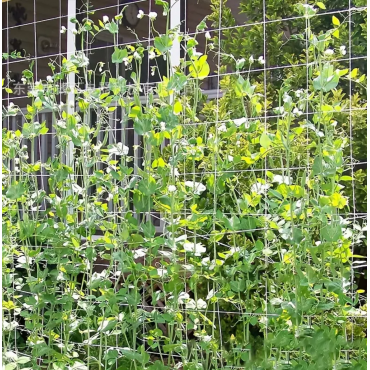 1pc Net For Climbing...