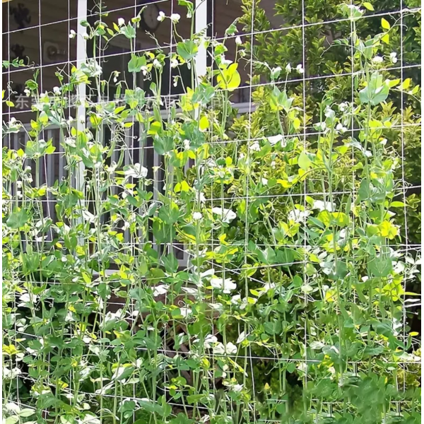 1pc Net For Climbing Plant 5*15ft, DIY Plant Support, Garden Planting Supplies