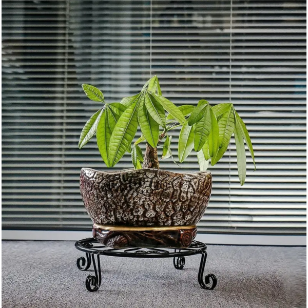 2pcs Black Plant Stand For Flower Pot Heavy Duty Potted Holder Indoor Outdoor Metal Rustproof Iron Garden Container Round Supports Rack For Planter Bronze, Pumpkin Stand Outdoor